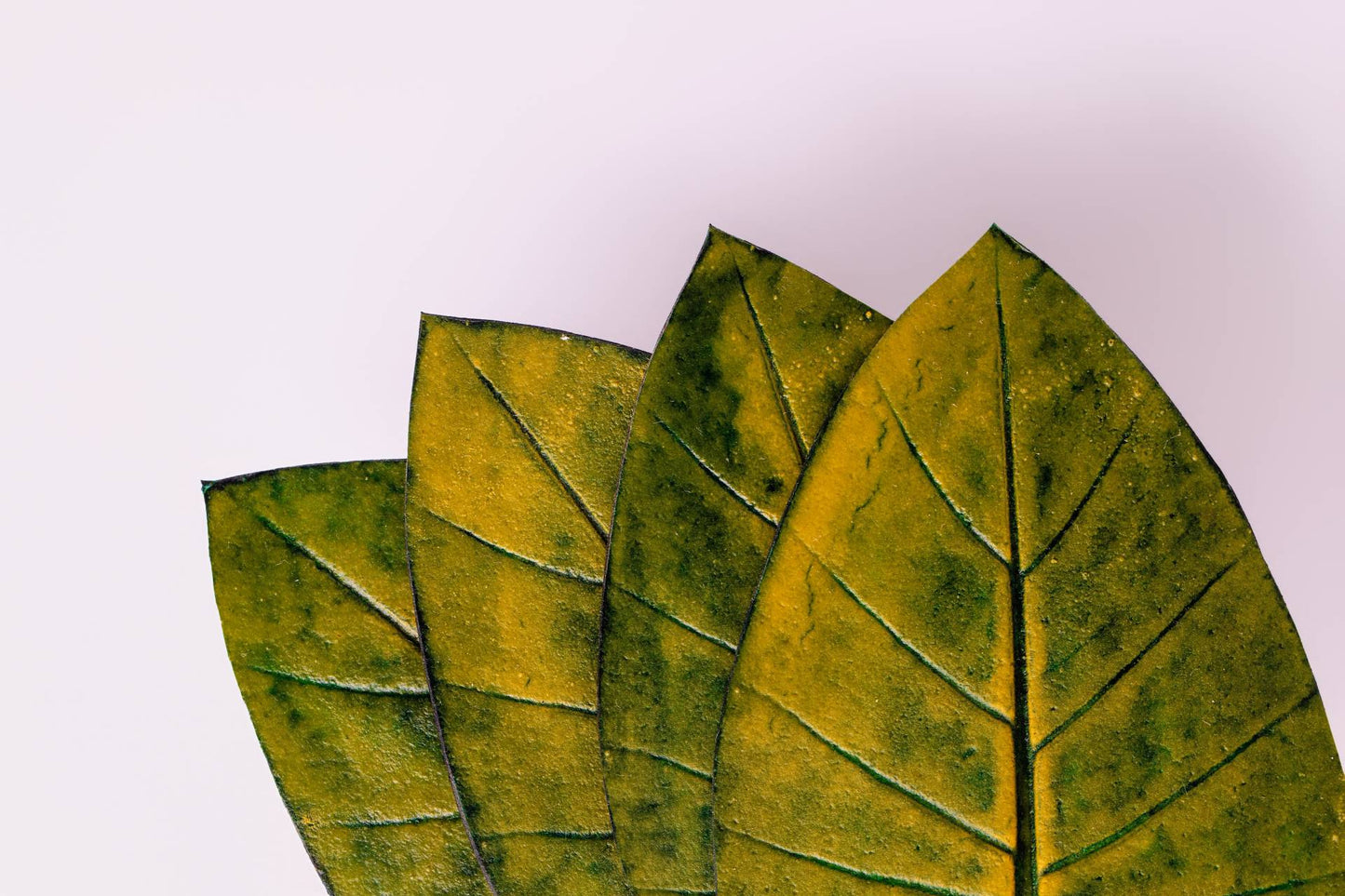 DESCANSO DE COPO TAIOBA