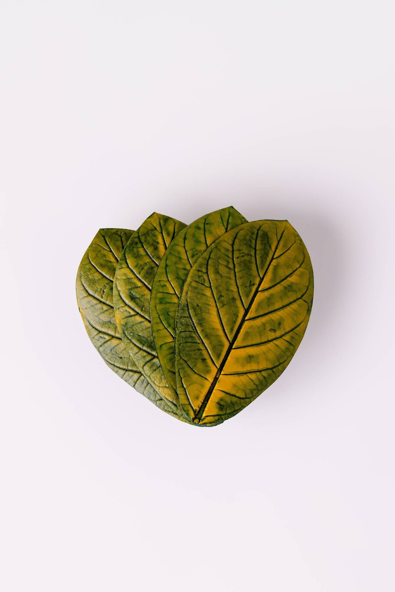 DESCANSO DE COPO APUI