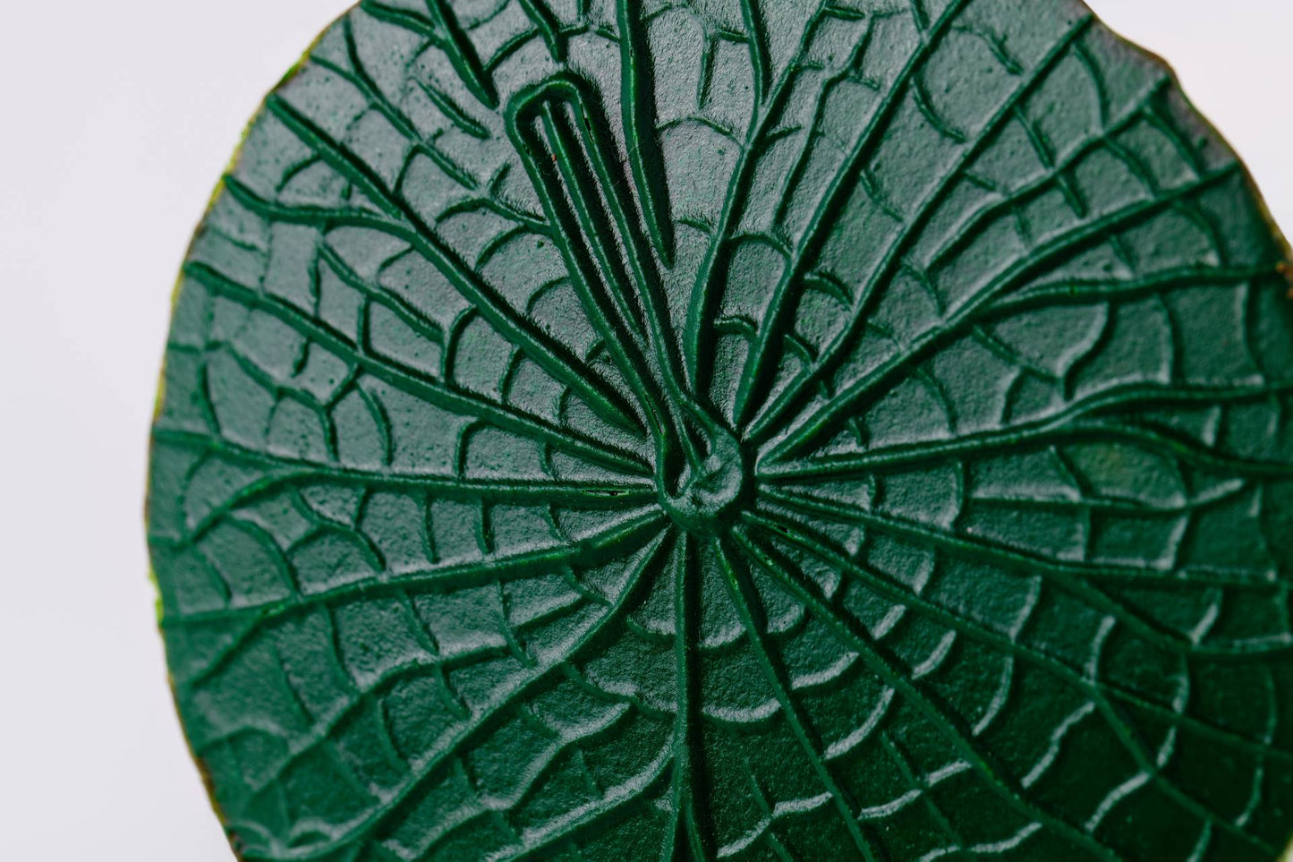 JOGO DESCANSO DE COPO VITORIA REGIA - 4 UN