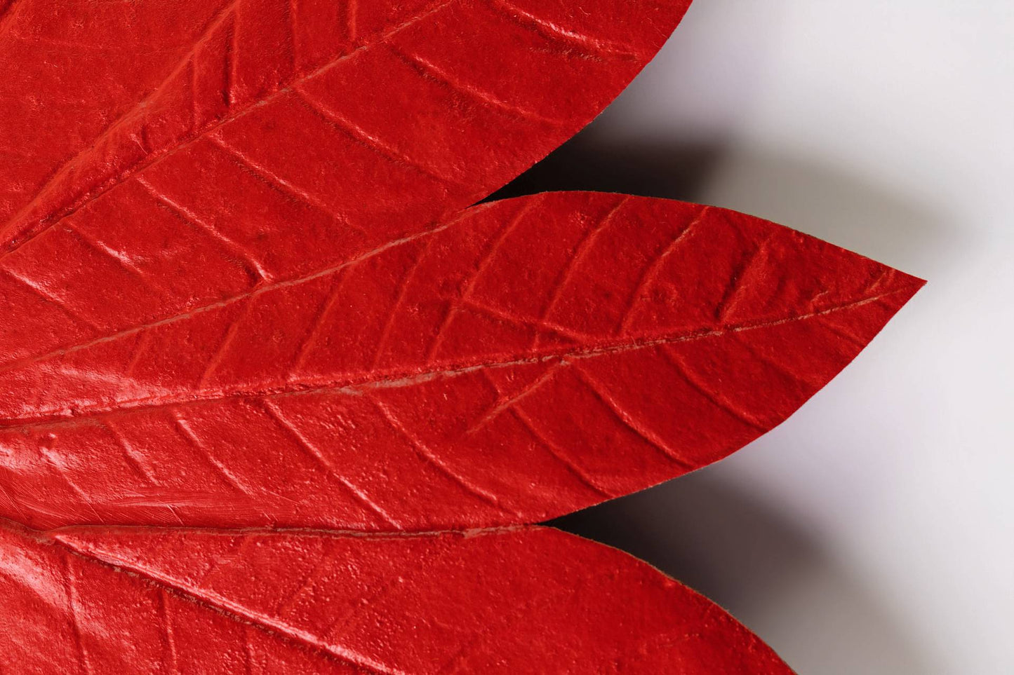 SOUSPLAT SERINGUEIRA