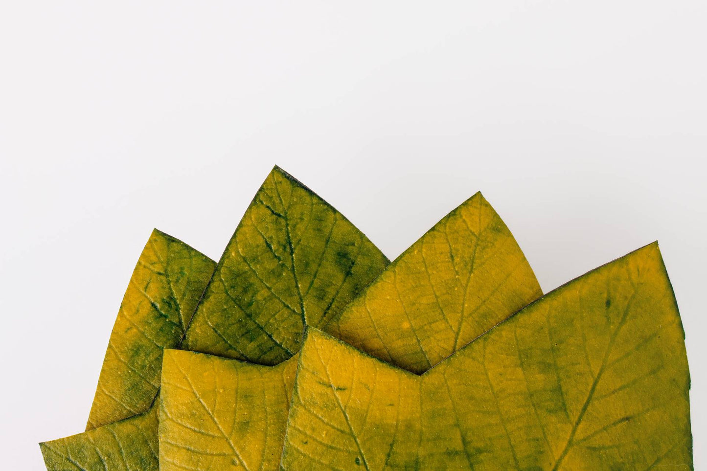 JOGO DESCANSO DE COPO ALGODOEIRO - 4 UN