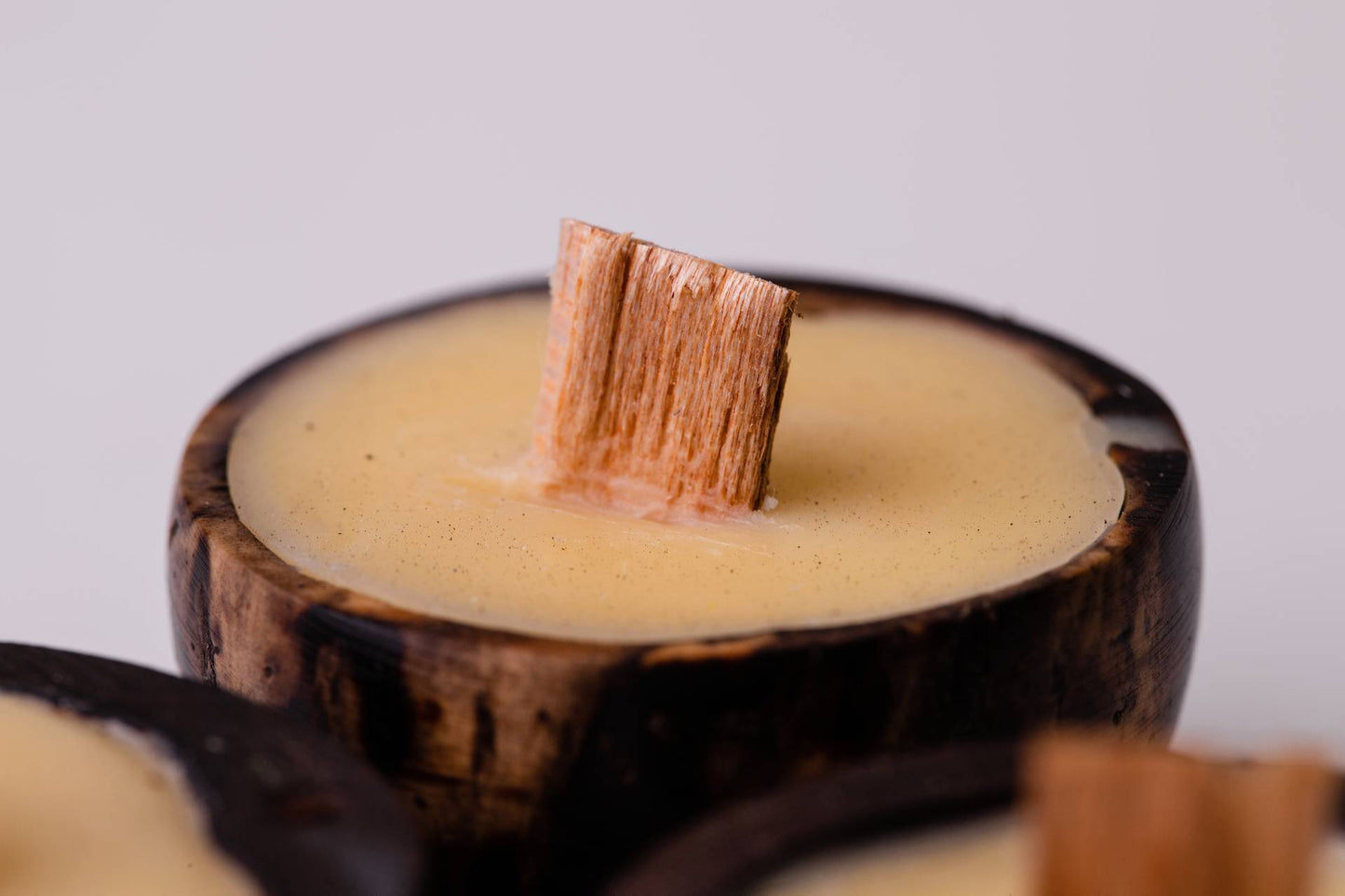 TRIO FAGULHA DA MATA - CASCAS E FOLHAS