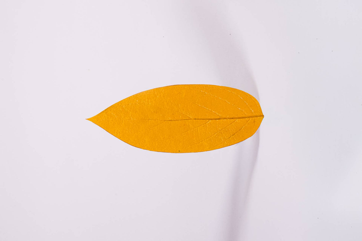 MARCADOR CONHECIMENTO ANCESTRAL - AMARELO