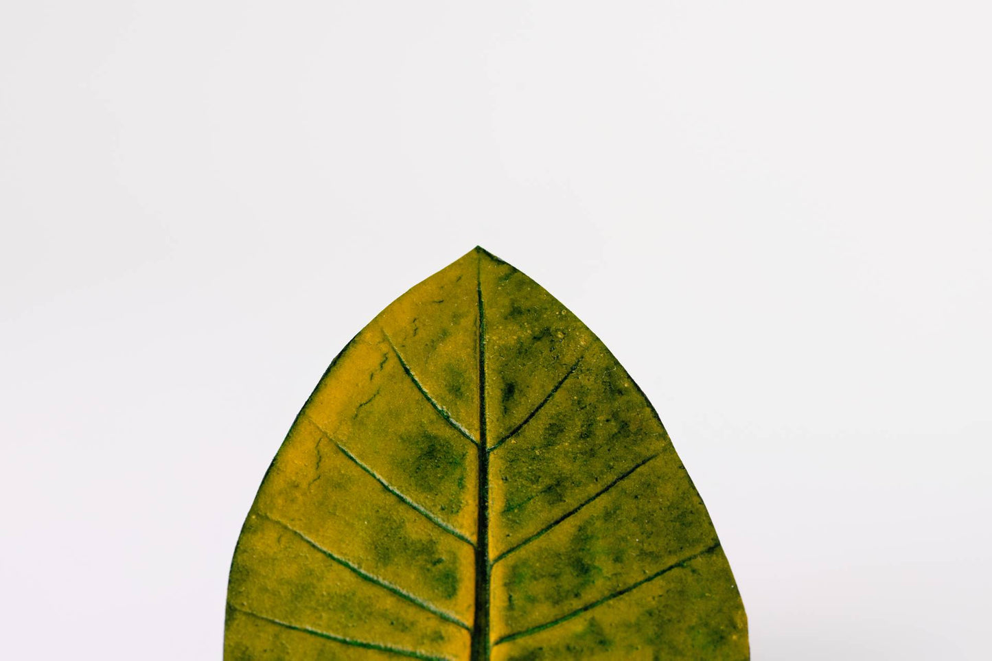 JOGO DESCANSO DE COPO TAIOBA - 4 UN