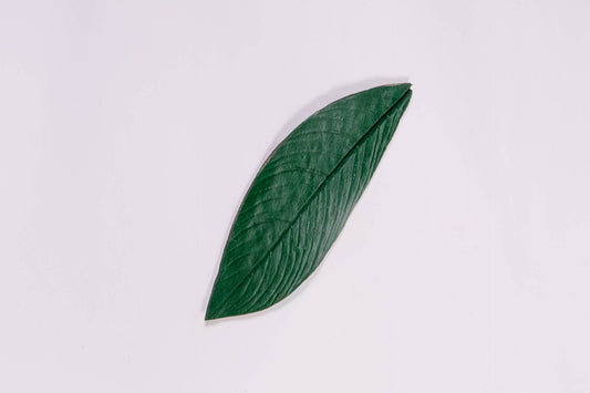 KIT MARCADOR CONHECIMENTO ANCESTRAL - 4 UN - VERDE