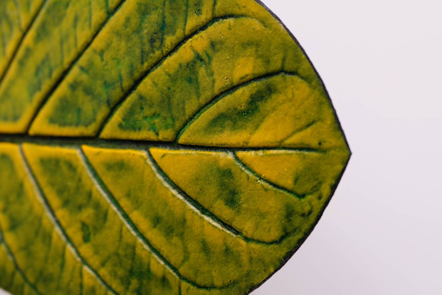 JOGO DESCANSO DE COPO APUI - 4 UN