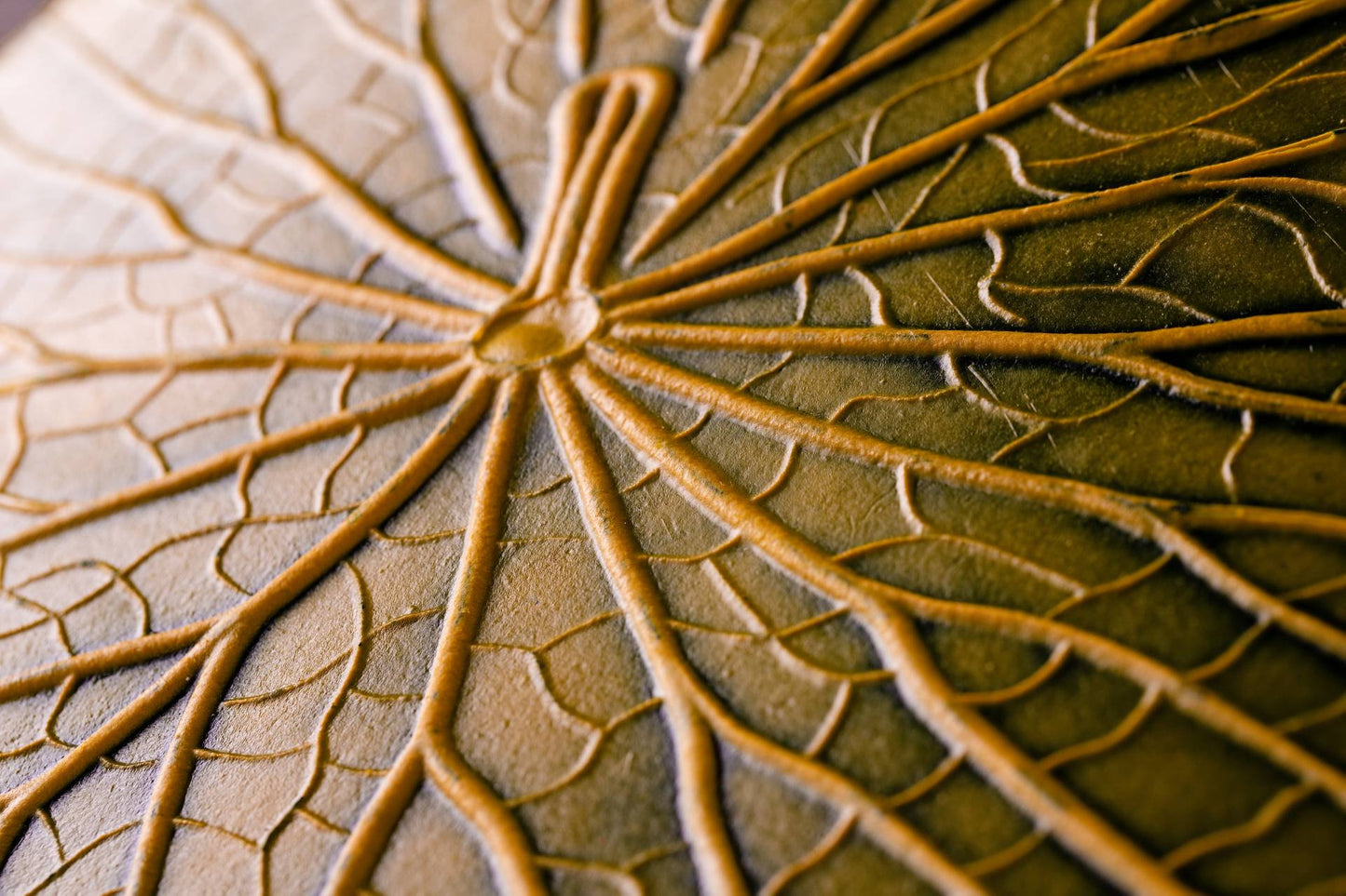 SOUSPLAT VITORIA REGIA - VERDE/AMARELO