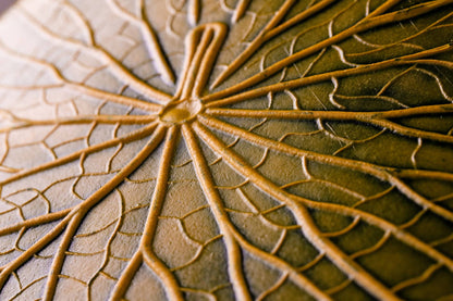 SOUSPLAT VITORIA REGIA - VERDE/AMARELO