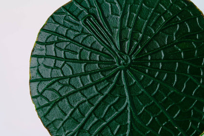 DESCANSO DE COPO VITORIA REGIA