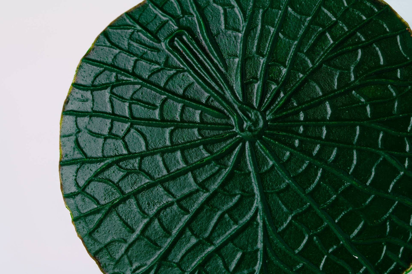 DESCANSO DE COPO VITORIA REGIA