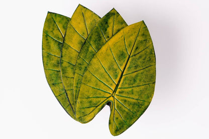 DESCANSO DE COPO TAIOBA