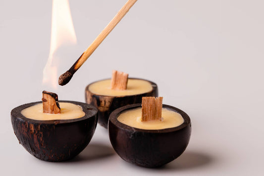 TRIO FAGULHA DA MATA - CASCAS E FOLHAS