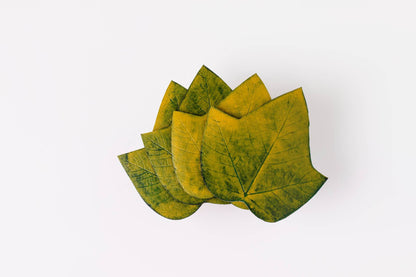 JOGO DESCANSO DE COPO ALGODOEIRO - 4 UN