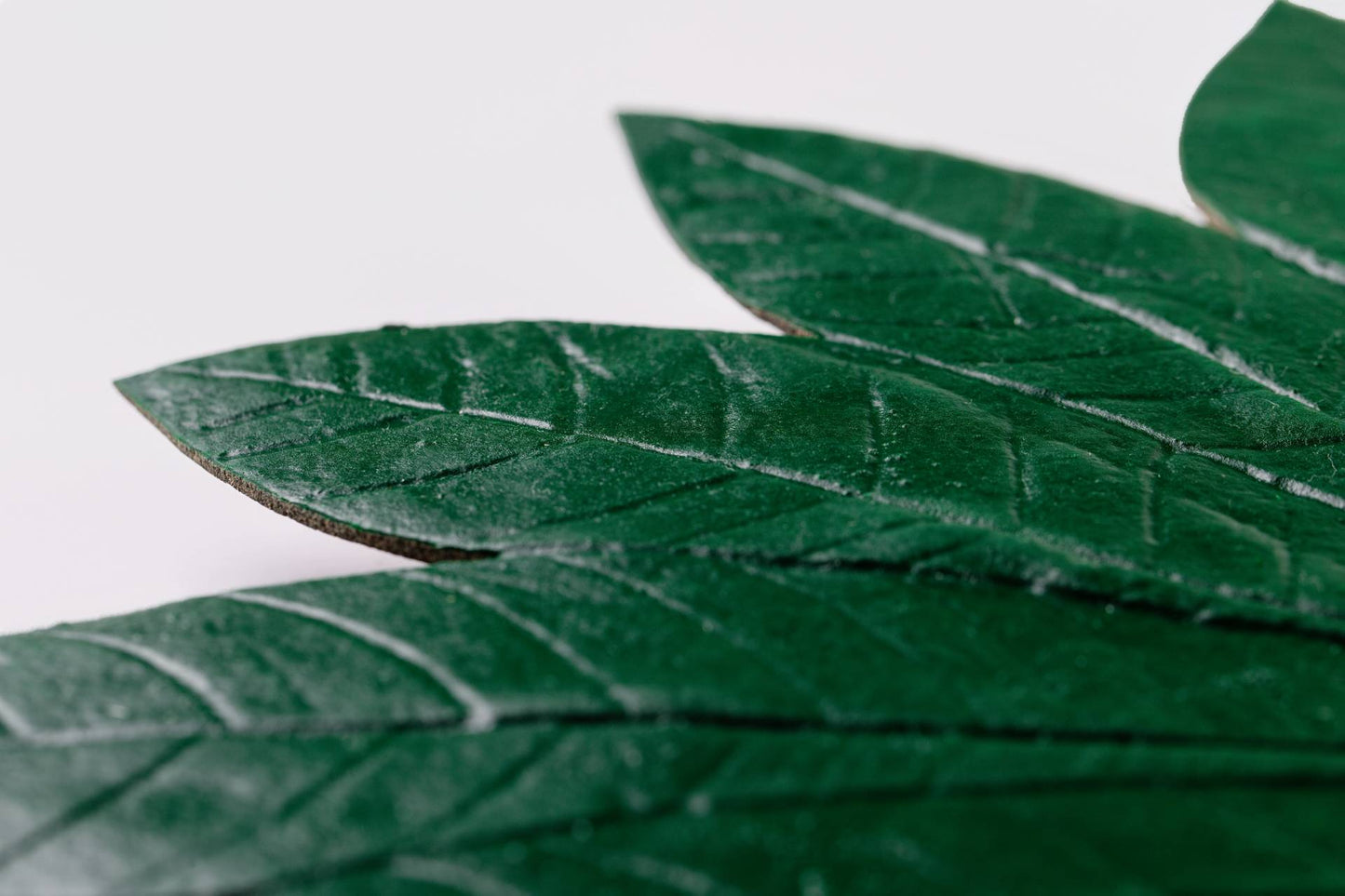 JOGO DE SOUSPLAT SERINGUEIRA - 4 UN - VERDE