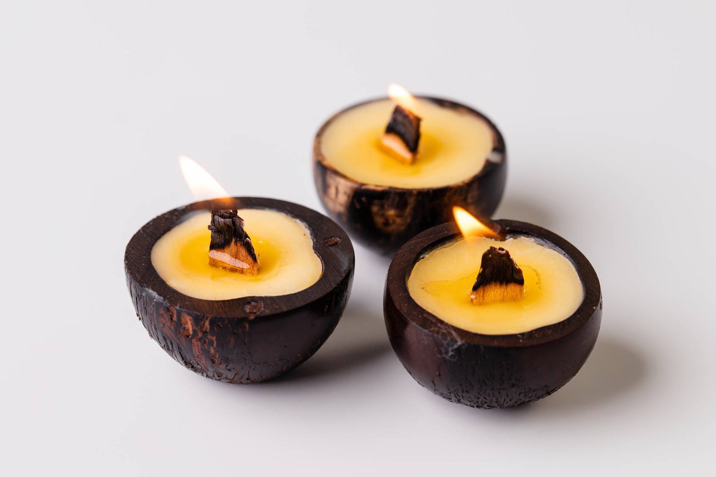 TRIO FAGULHA DA MATA - CAPIM LIMÃO