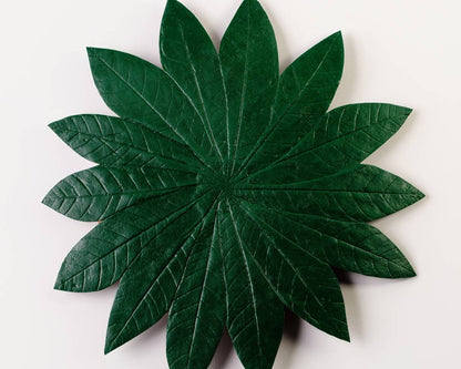 SOUSPLAT SERINGUEIRA