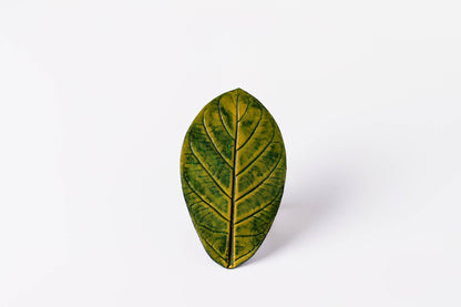 DESCANSO DE COPO APUI