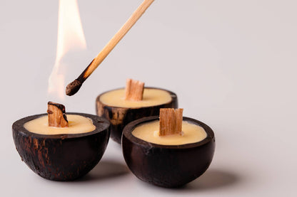 TRIO FAGULHA DA MATA