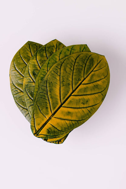 DESCANSO DE COPO APUI