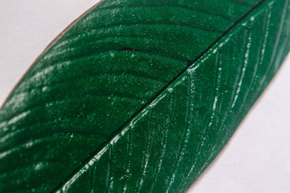 MARCADOR CONHECIMENTO ANCESTRAL - VERDE