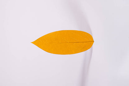 KIT MARCADOR CONHECIMENTO ANCESTRAL - 4 UN - AMARELO