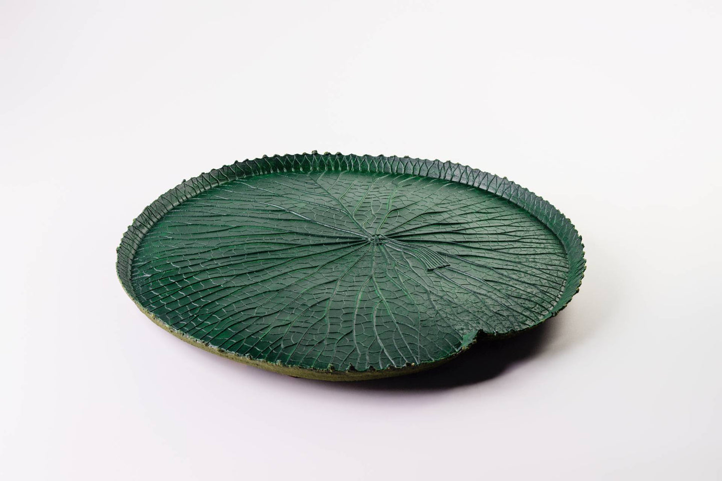 VITORIA REGIA DAS AGUAS - VERDE