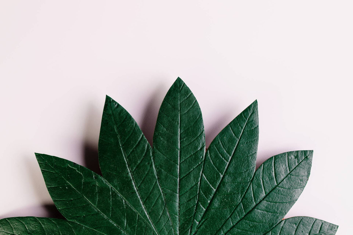 JOGO DE SOUSPLAT SERINGUEIRA - 4 UN - VERDE