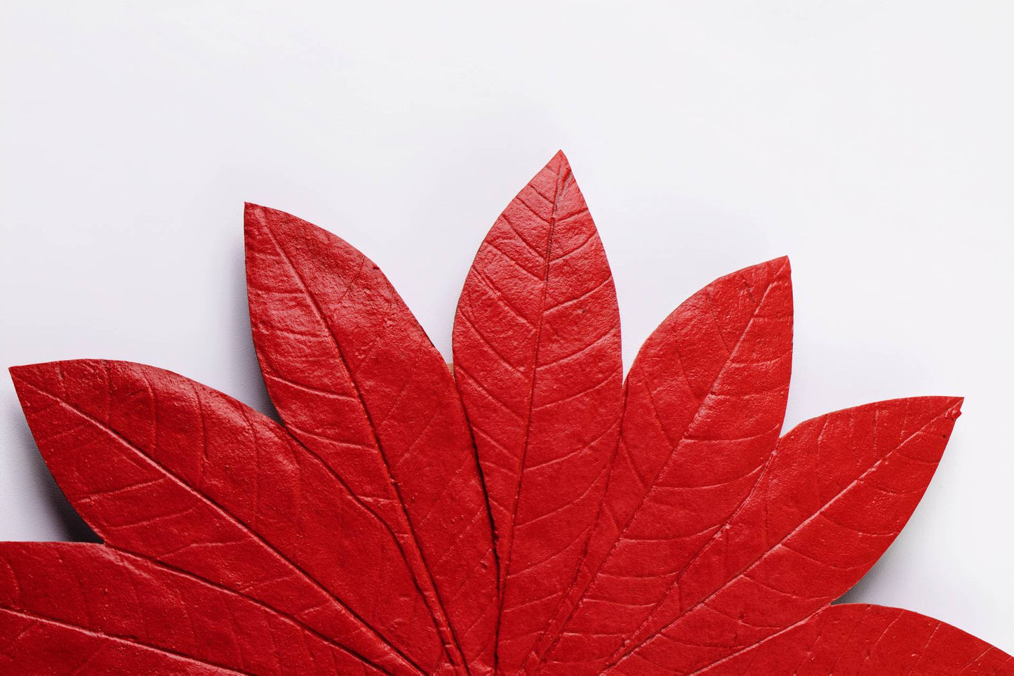 JOGO DE SOUSPLAT SERINGUEIRA - 4 UN