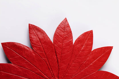 JOGO DE SOUSPLAT SERINGUEIRA - 4 UN