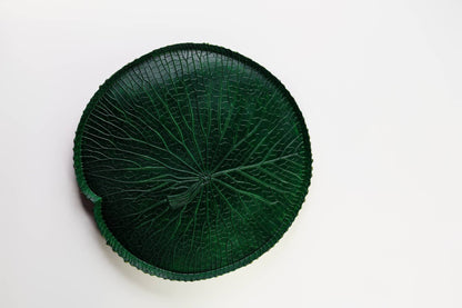 VITORIA REGIA DAS AGUAS - VERDE