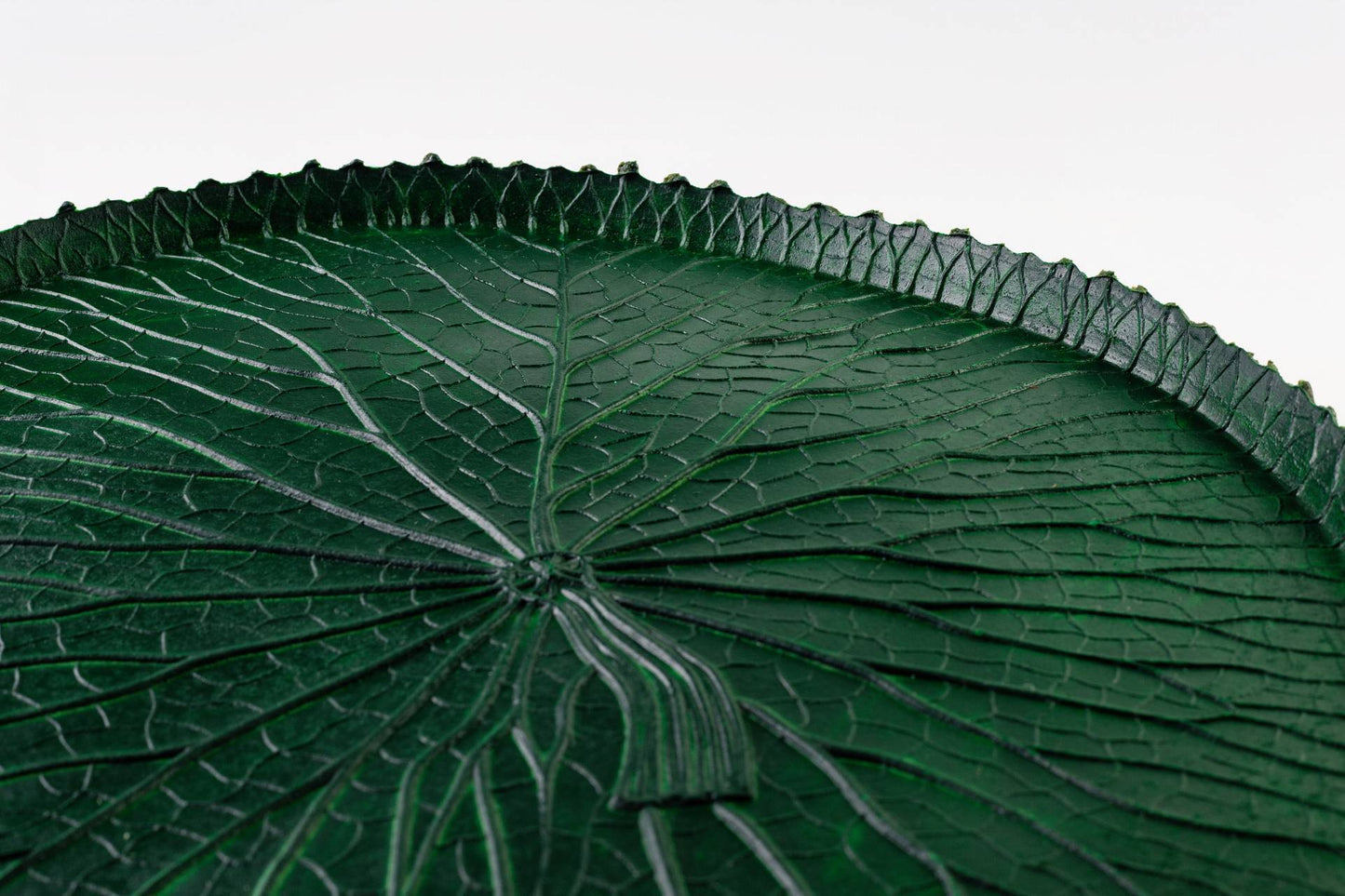 VITORIA REGIA DAS AGUAS - VERDE