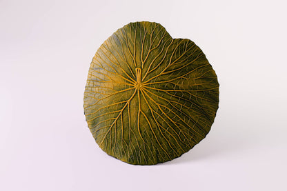 SOUSPLAT VITORIA REGIA - VERDE/AMARELO