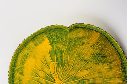 VITORIA REGIA DAS AGUAS - VERDE/AMARELO