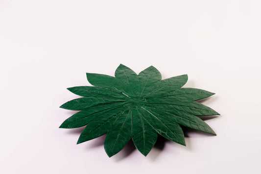 SOUSPLAT SERINGUEIRA