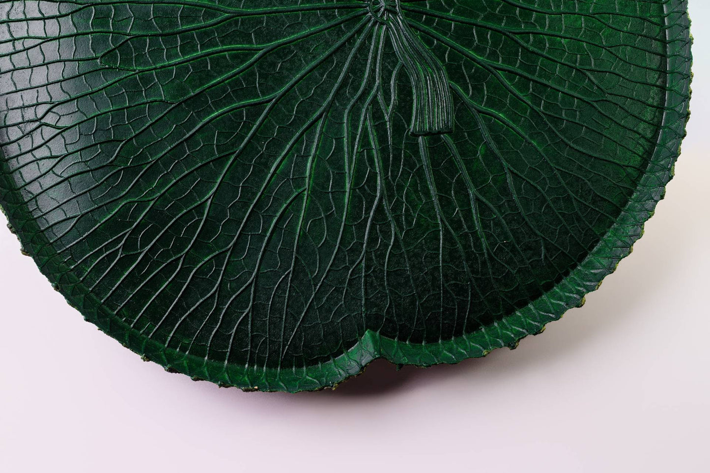 VITORIA REGIA DAS AGUAS - VERDE