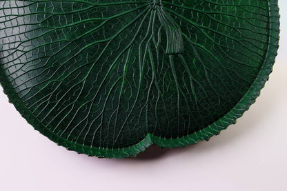 VITORIA REGIA DAS AGUAS - VERDE