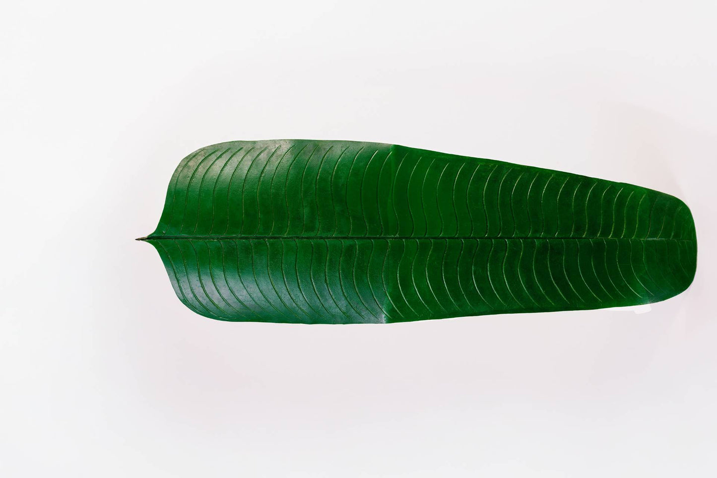 ENFEITE DE MESA FOLHA DE BANANEIRA