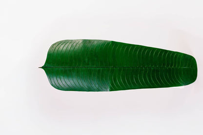 ENFEITE DE MESA FOLHA DE BANANEIRA