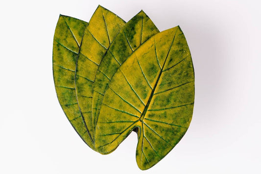 JOGO DESCANSO DE COPO TAIOBA - 4 UN