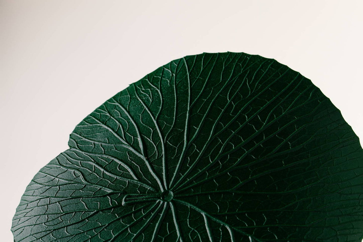 SOUSPLAT VITORIA REGIA