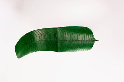 ENFEITE DE MESA FOLHA DE BANANEIRA