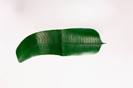 ENFEITE DE MESA FOLHA DE BANANEIRA