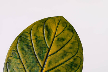 DESCANSO DE COPO APUI