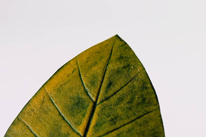 DESCANSO DE COPO TAIOBA