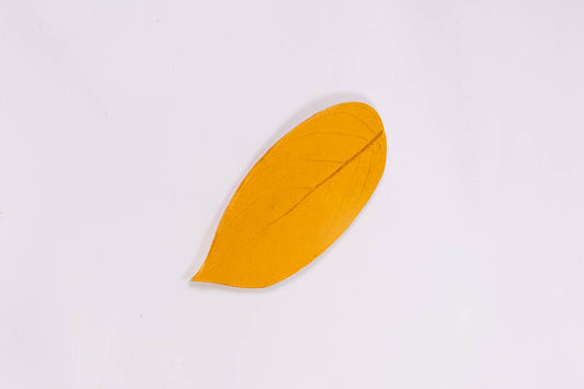 KIT MARCADOR CONHECIMENTO ANCESTRAL - 4 UN - AMARELO