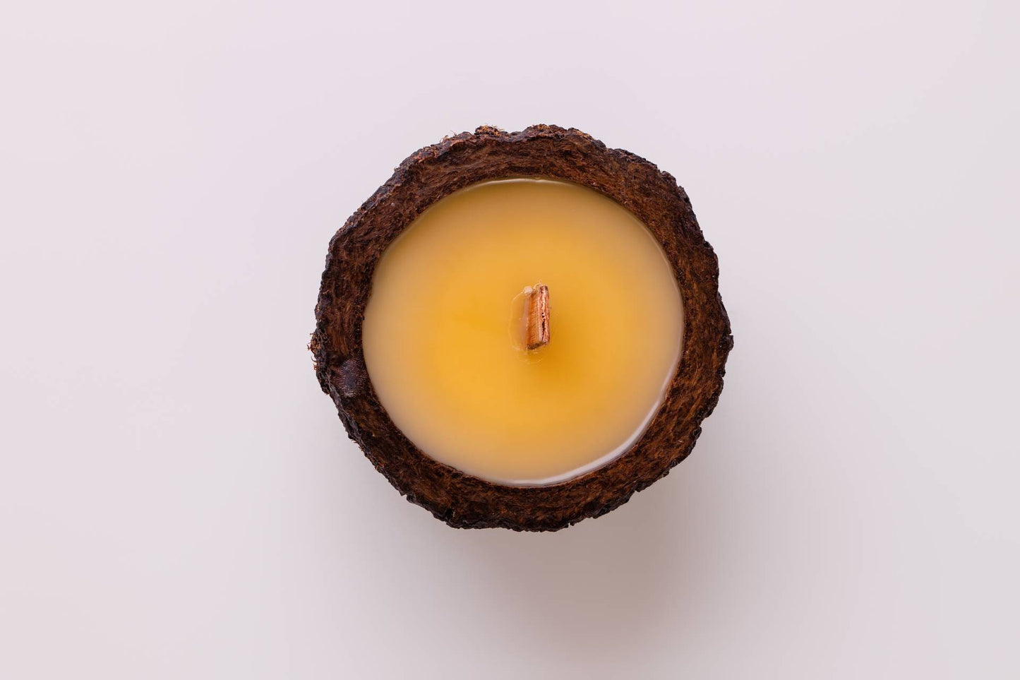 VELA DA MATA - CASCAS E FOLHAS