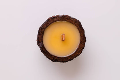 VELA DA MATA - CASCAS E FOLHAS