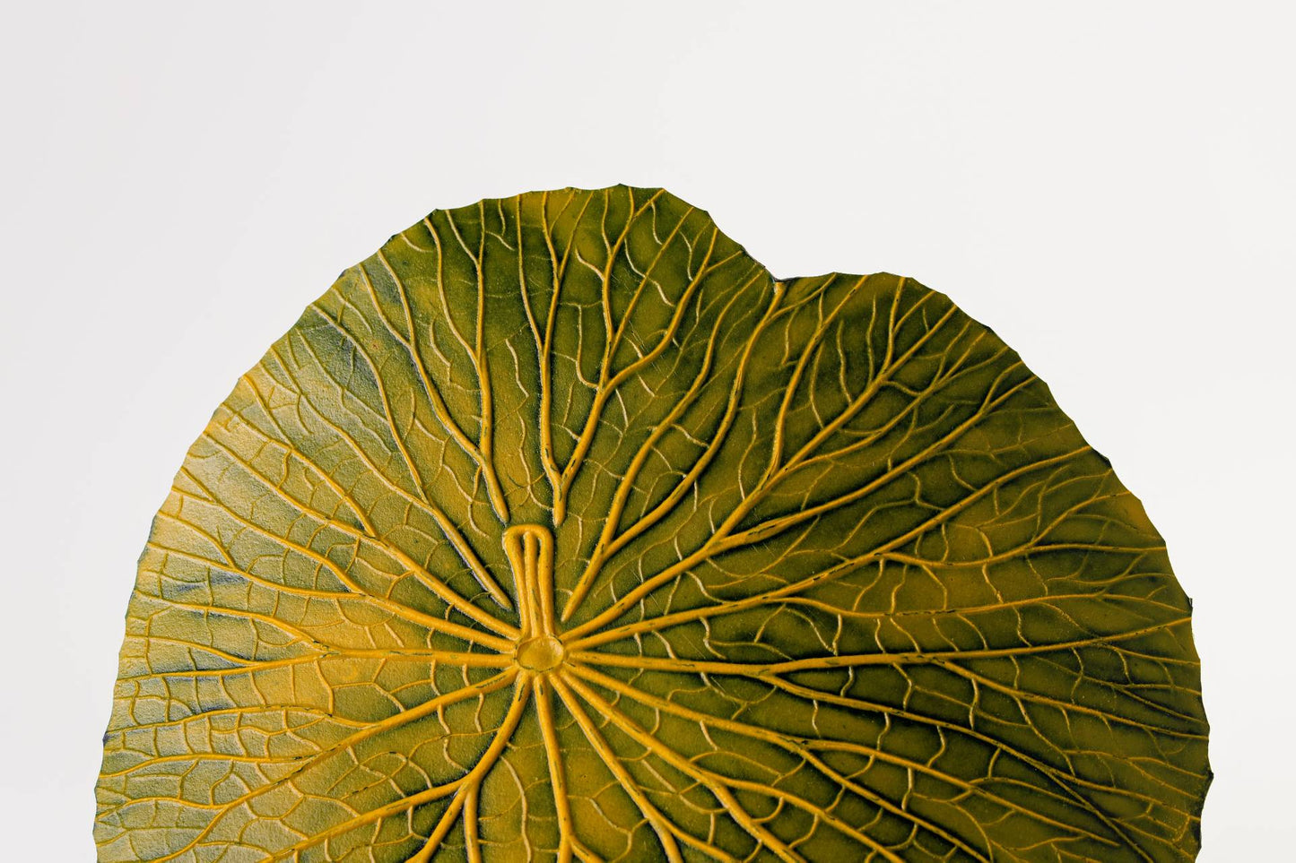 SOUSPLAT VITORIA REGIA - VERDE/AMARELO