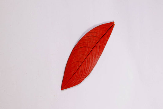 MARCADOR CONHECIMENTO ANCESTRAL - VERMELHO