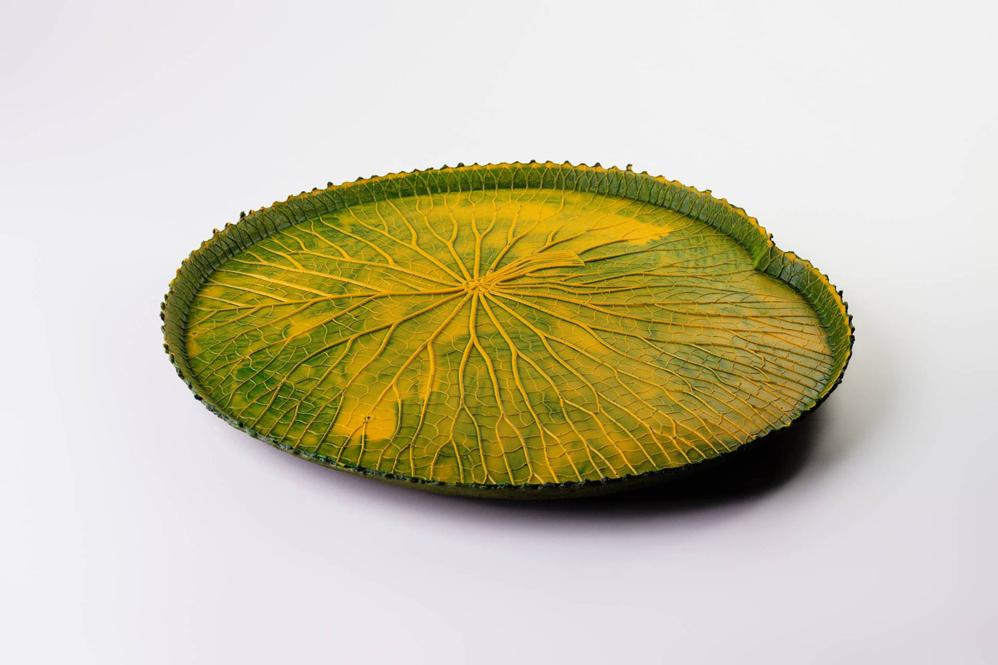 VITORIA REGIA DAS AGUAS - VERDE/AMARELO